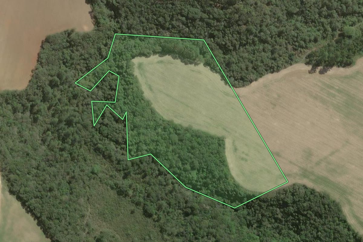 Imagem de satélite do imóvel rural em Capão Bonito (SP), com o contorno declarado no CAR desenhado por cima.