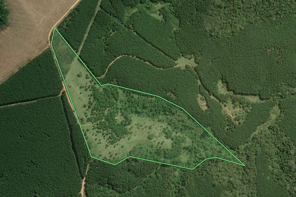 Imagem de satélite do imóvel rural em Capão Bonito (SP), com o contorno declarado no CAR desenhado por cima.