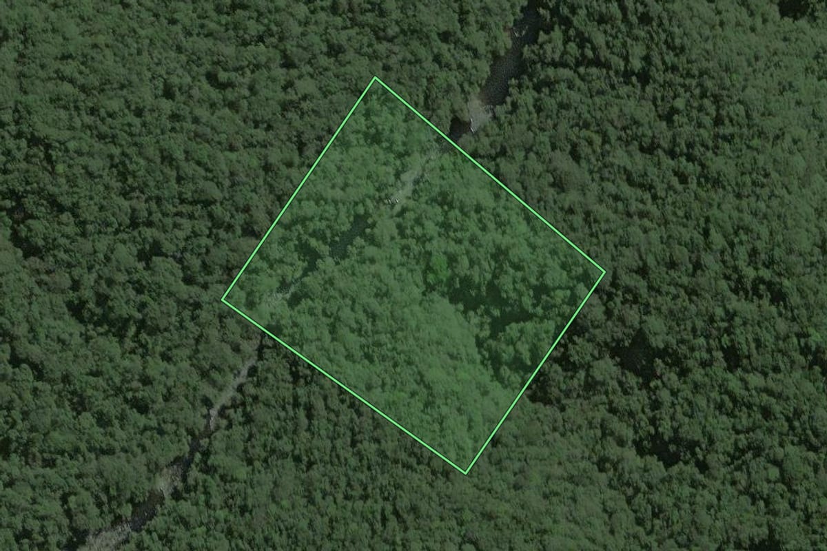 Imagem de satélite do imóvel rural em Capão Bonito (SP), com o contorno declarado no CAR desenhado por cima.