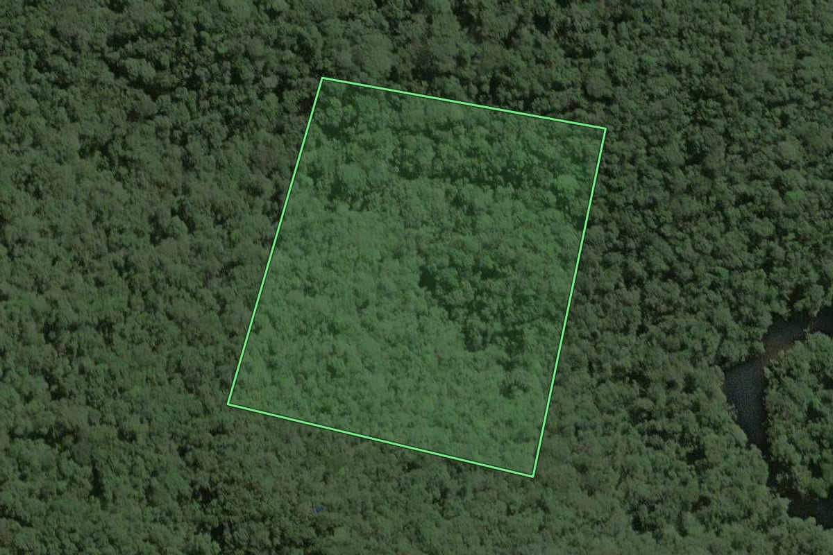 Imagem de satélite do imóvel rural em Capão Bonito (SP), com o contorno declarado no CAR desenhado por cima.