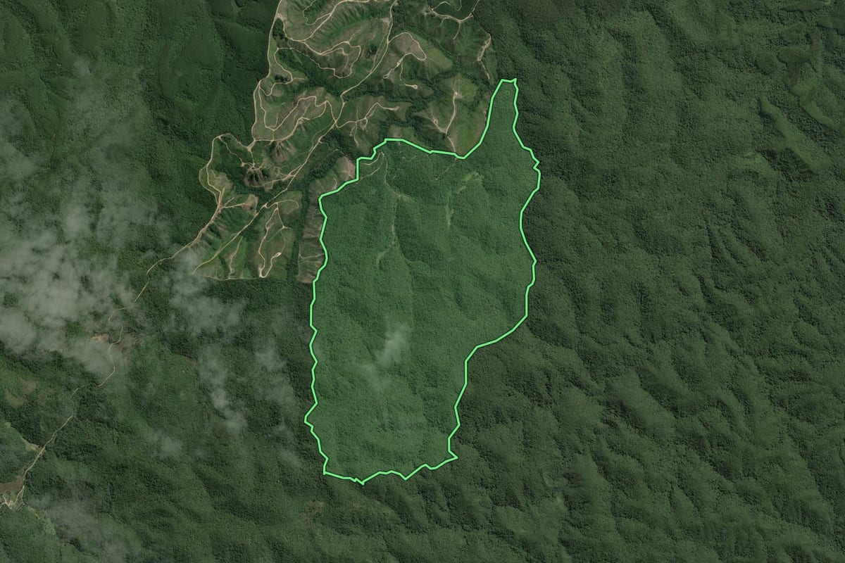 Imagem de satélite do imóvel rural em Capão Bonito (SP), com o contorno declarado no CAR desenhado por cima.