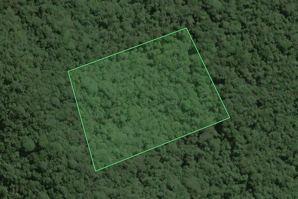 Imagem de satélite do imóvel rural em Capão Bonito (SP), com o contorno declarado no CAR desenhado por cima.