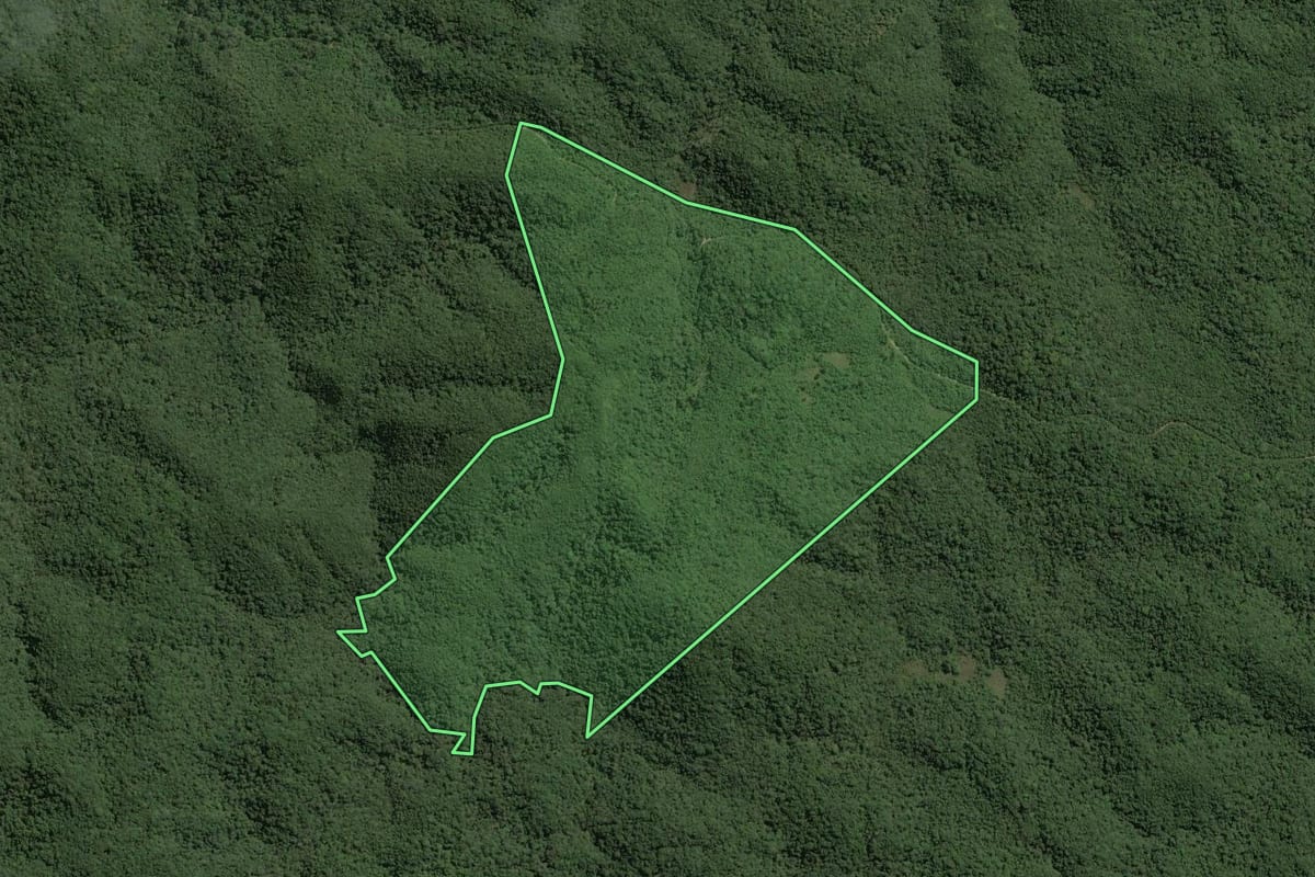 Imagem de satélite do imóvel rural em Capão Bonito (SP), com o contorno declarado no CAR desenhado por cima.