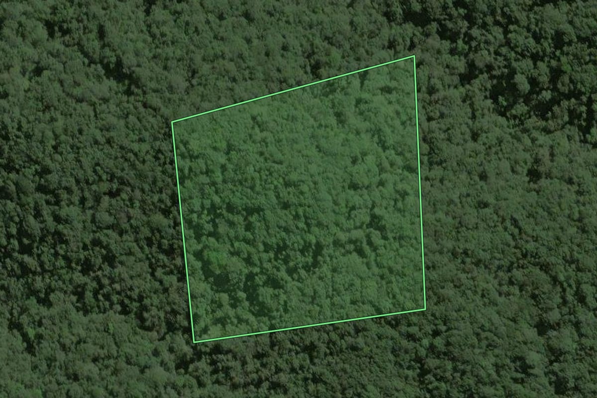 Imagem de satélite do imóvel rural em Capão Bonito (SP), com o contorno declarado no CAR desenhado por cima.