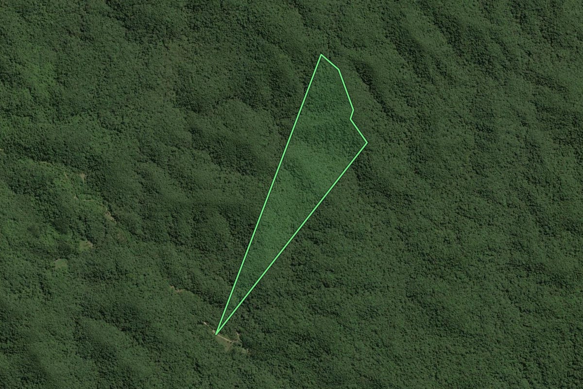 Imagem de satélite do imóvel rural em Capão Bonito (SP), com o contorno declarado no CAR desenhado por cima.