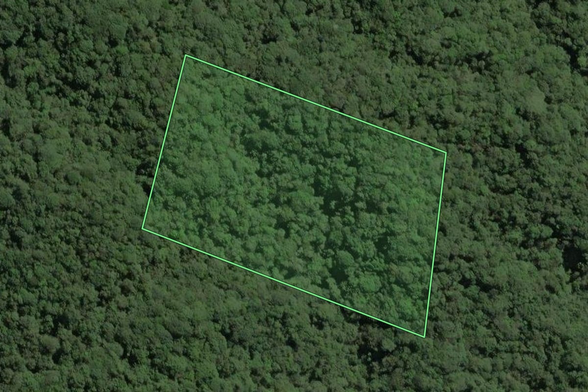 Imagem de satélite do imóvel rural em Capão Bonito (SP), com o contorno declarado no CAR desenhado por cima.