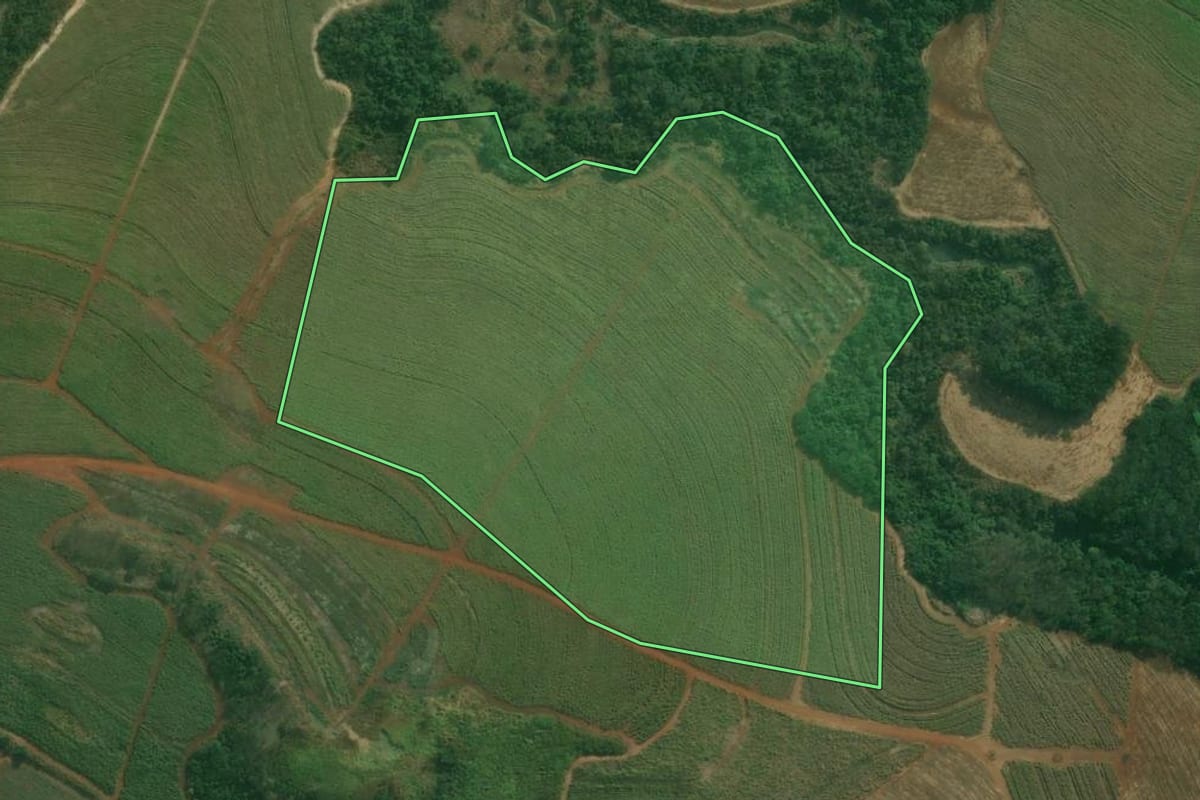Imagem de satélite do imóvel rural em Capivari (SP), com o contorno declarado no CAR desenhado por cima.