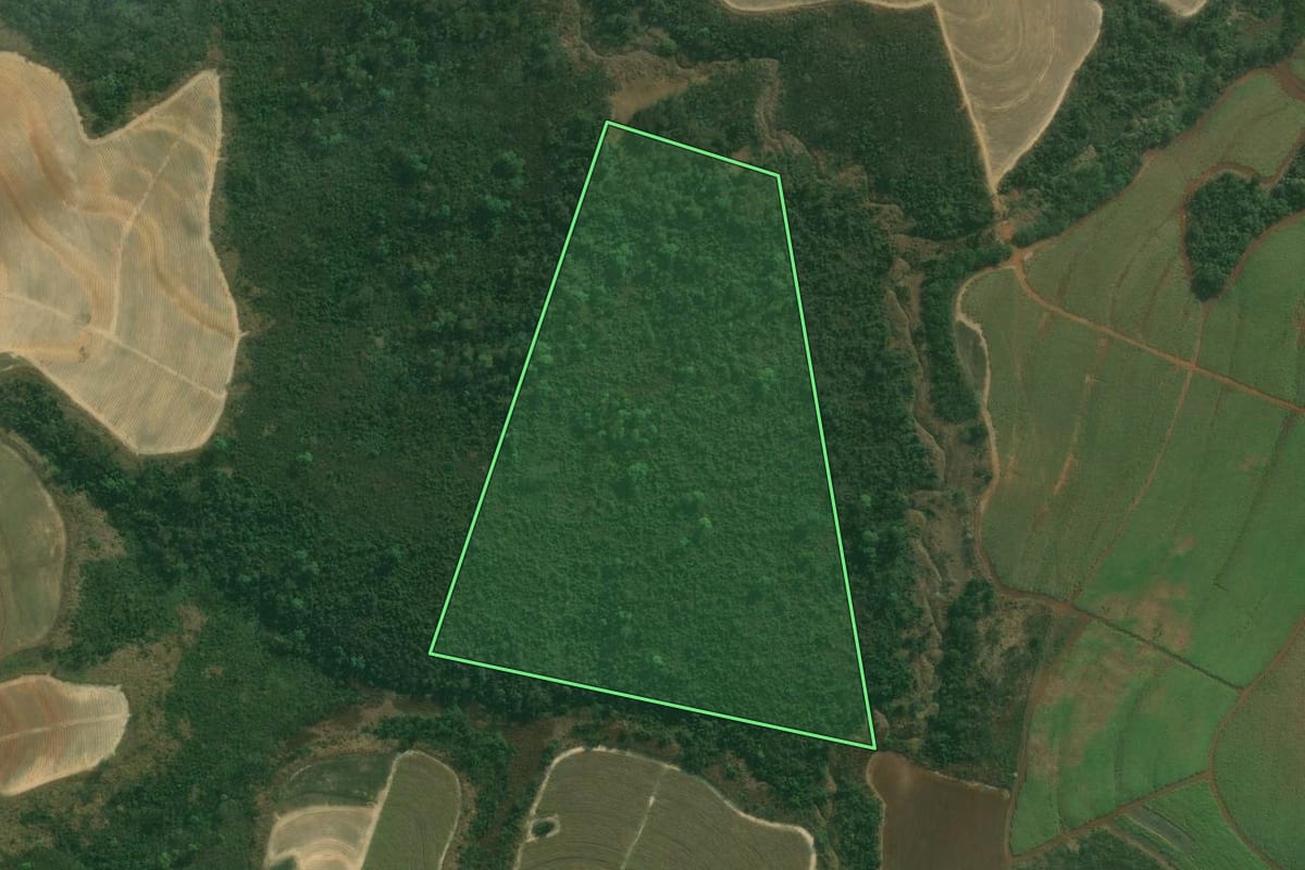 Imagem de satélite do imóvel rural em Capivari (SP), com o contorno declarado no CAR desenhado por cima.