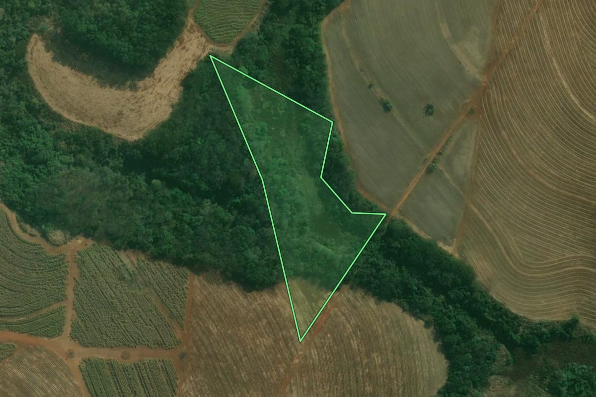Imagem de satélite do imóvel rural em Capivari (SP), com o contorno declarado no CAR desenhado por cima.