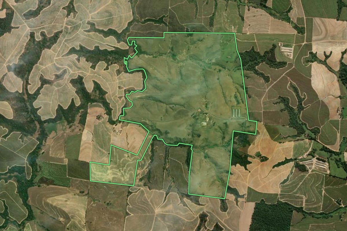 Imagem de satélite do imóvel rural em Capivari (SP), com o contorno declarado no CAR desenhado por cima.