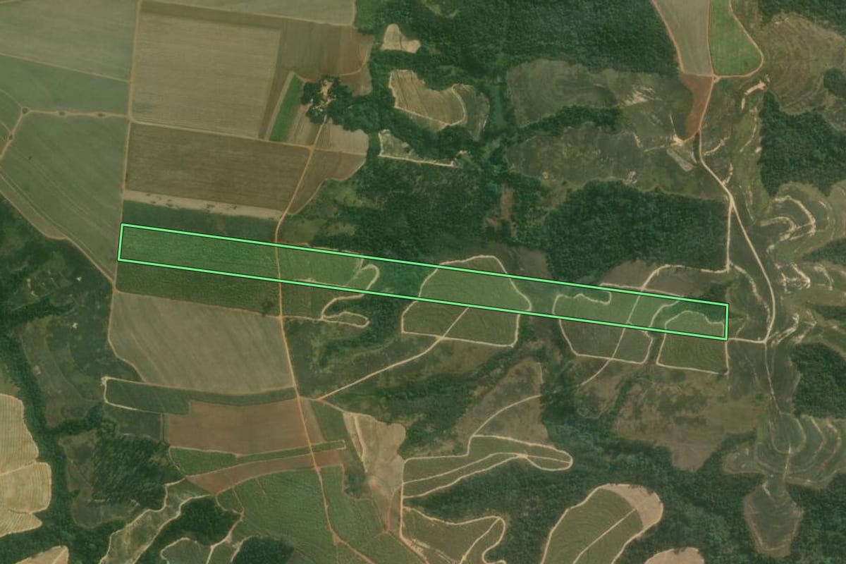 Imagem de satélite do imóvel rural em Capivari (SP), com o contorno declarado no CAR desenhado por cima.
