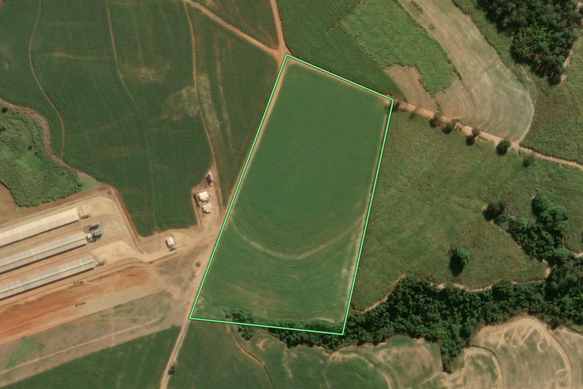 Imagem de satélite do imóvel rural em Capivari (SP), com o contorno declarado no CAR desenhado por cima.