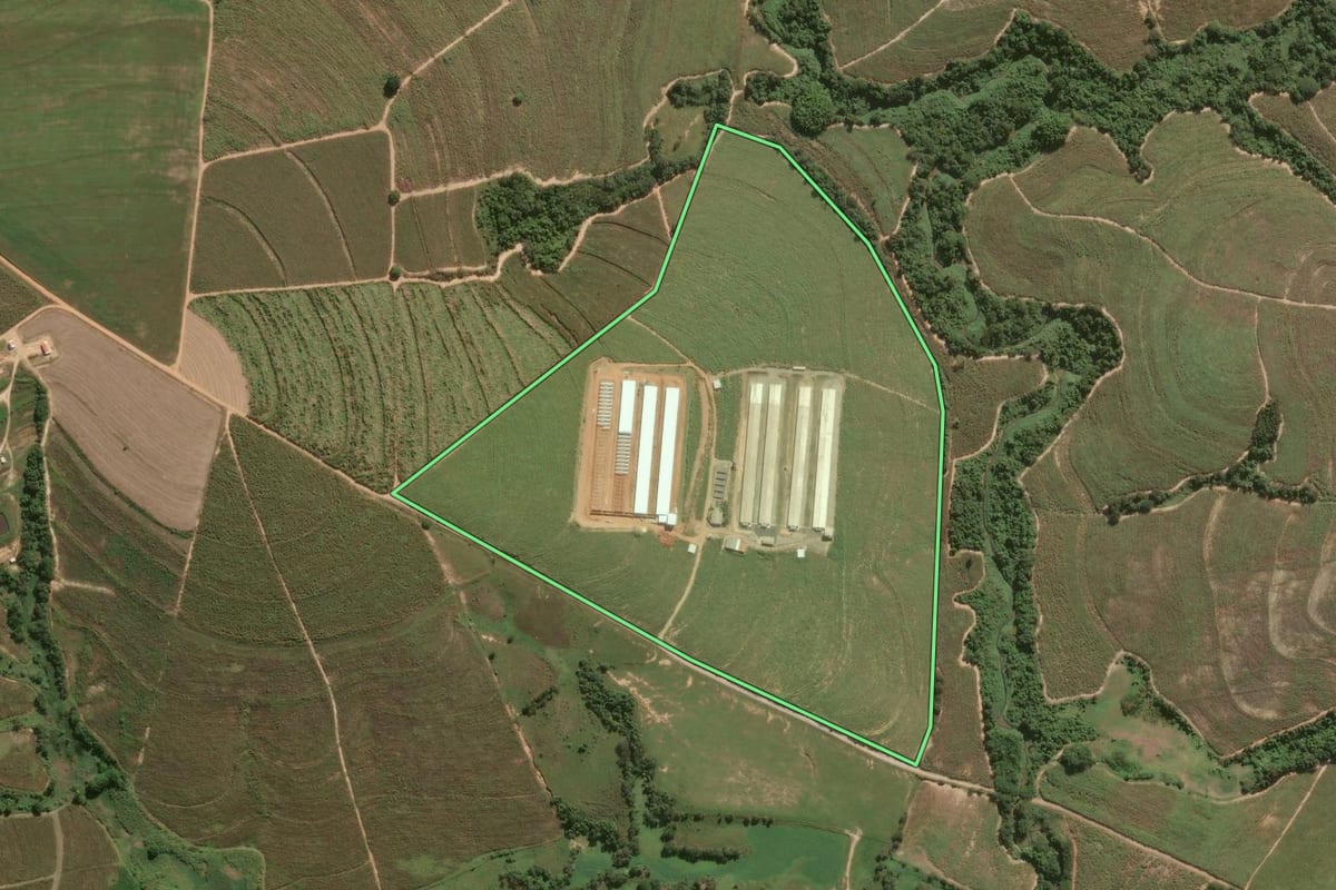 Imagem de satélite do imóvel rural em Capivari (SP), com o contorno declarado no CAR desenhado por cima.