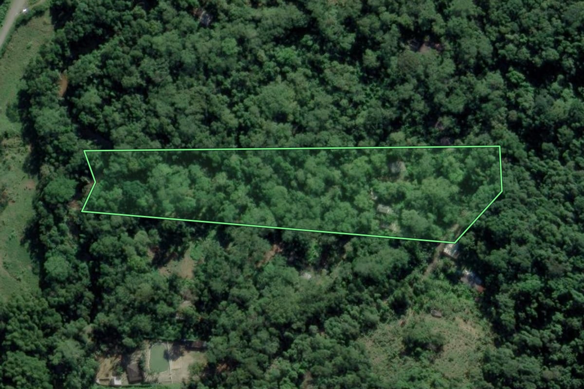 Imagem de satélite do imóvel rural em Caraguatatuba (SP), com o contorno declarado no CAR desenhado por cima.