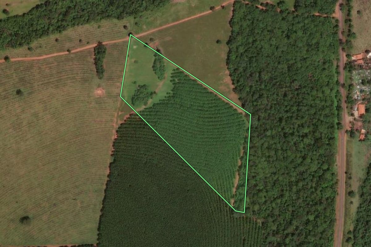 Imagem de satélite do imóvel rural em Cardoso (SP), com o contorno declarado no CAR desenhado por cima.