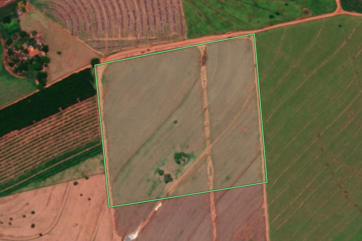 Imagem de satélite do imóvel rural em Cardoso (SP), com o contorno declarado no CAR desenhado por cima.