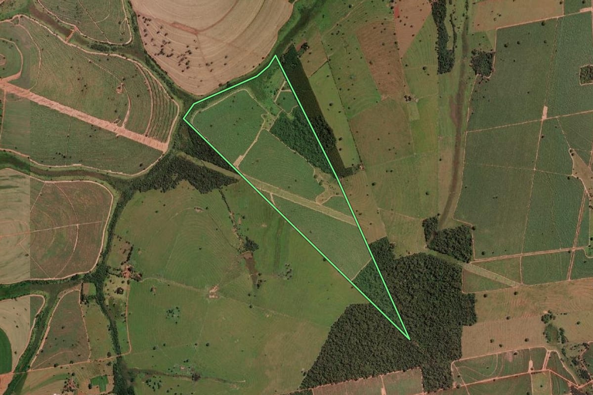 Imagem de satélite do imóvel rural em Cardoso (SP), com o contorno declarado no CAR desenhado por cima.