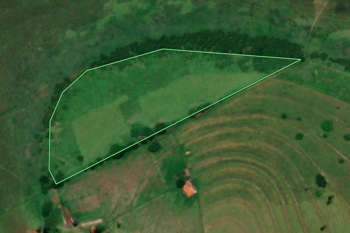 Imagem de satélite do imóvel rural em Cardoso (SP), com o contorno declarado no CAR desenhado por cima.