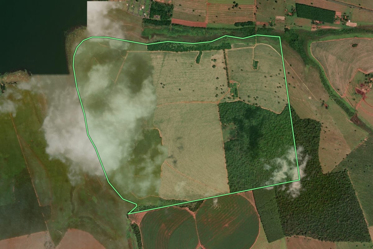 Imagem de satélite do imóvel rural em Cardoso (SP), com o contorno declarado no CAR desenhado por cima.