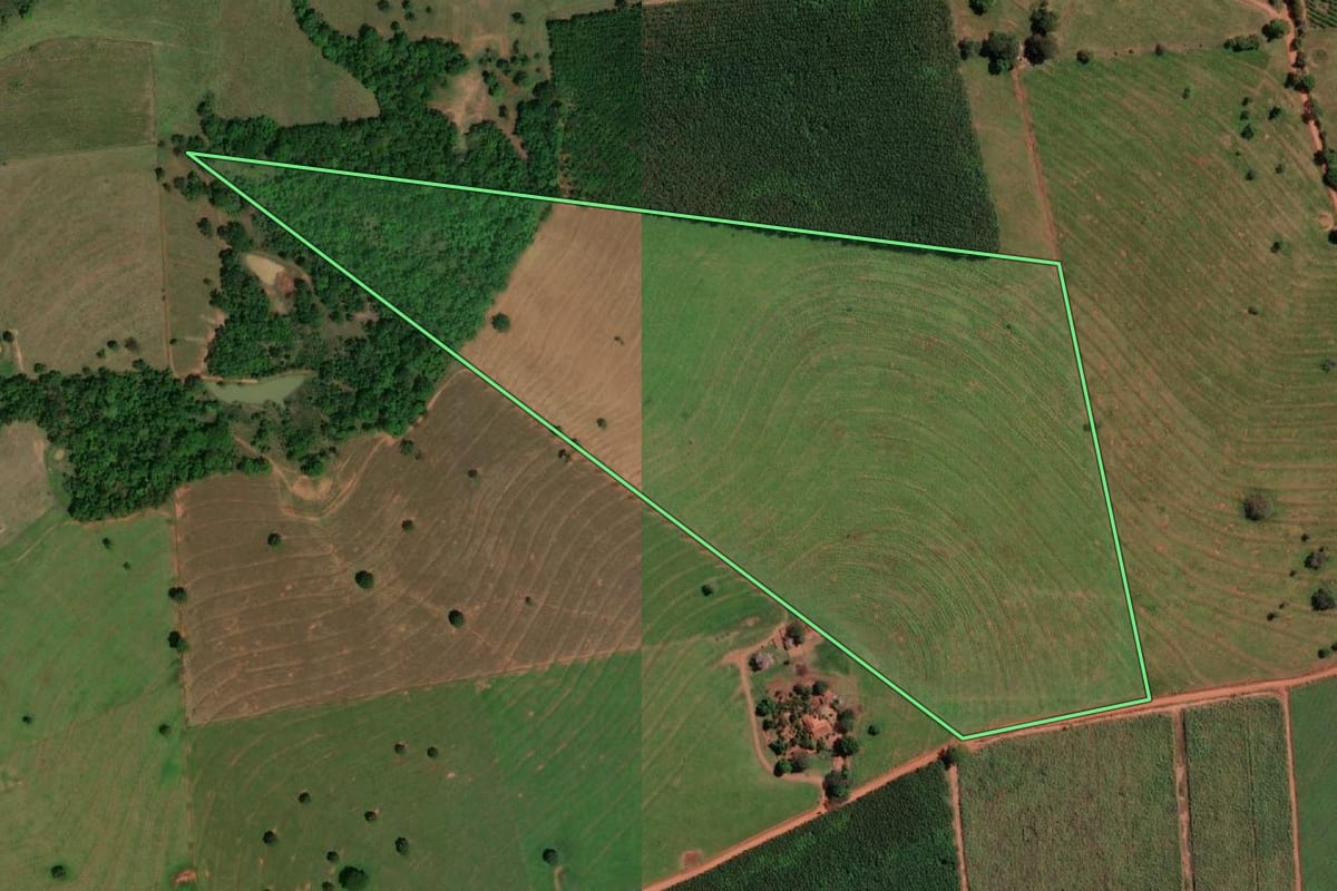 Imagem de satélite do imóvel rural em Cardoso (SP), com o contorno declarado no CAR desenhado por cima.
