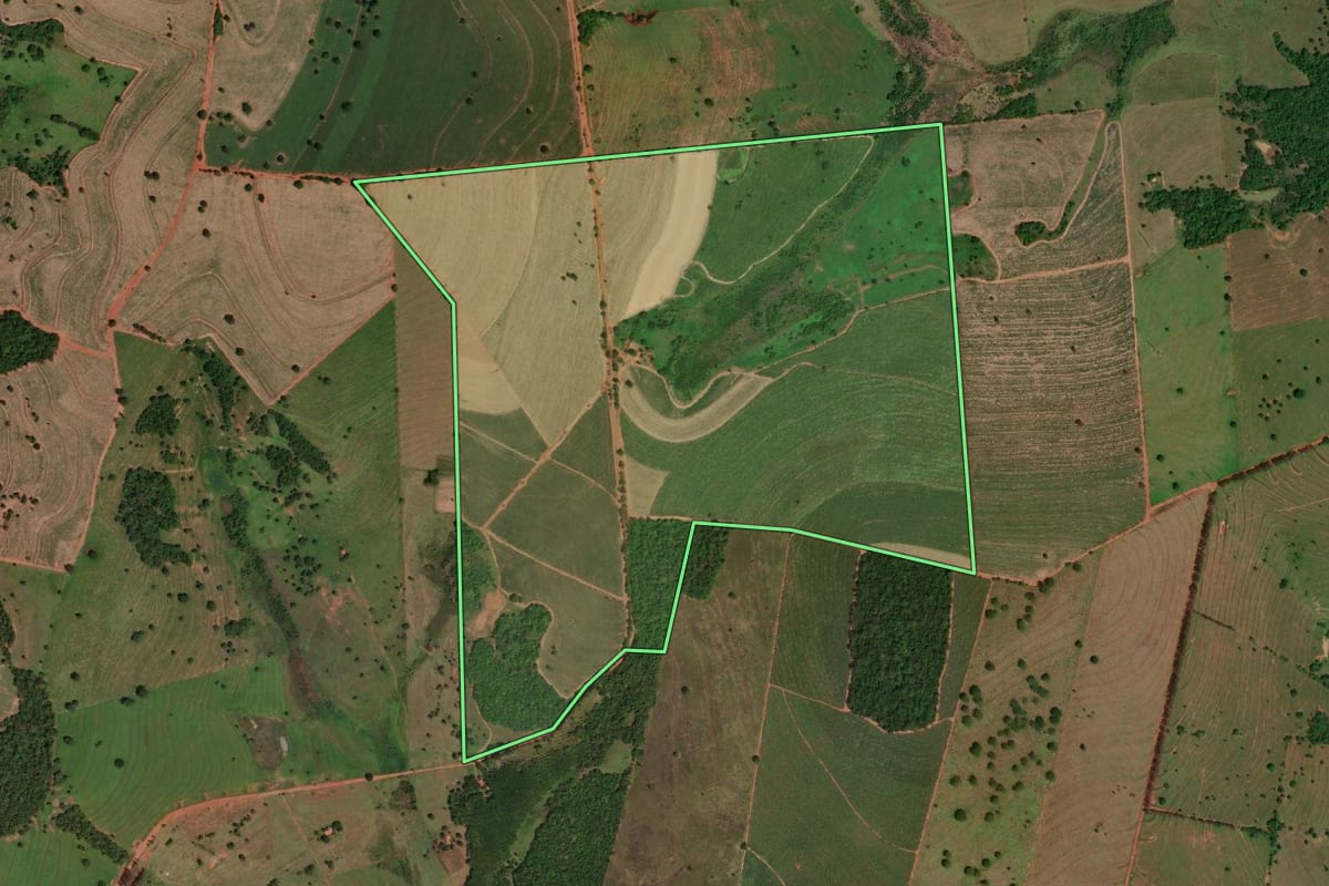 Imagem de satélite do imóvel rural em Cardoso (SP), com o contorno declarado no CAR desenhado por cima.