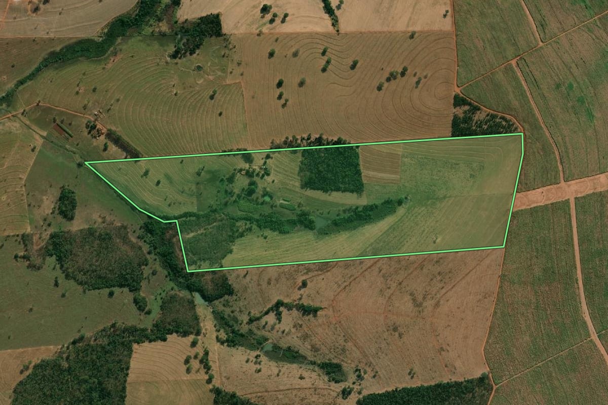 Imagem de satélite do imóvel rural em Cardoso (SP), com o contorno declarado no CAR desenhado por cima.