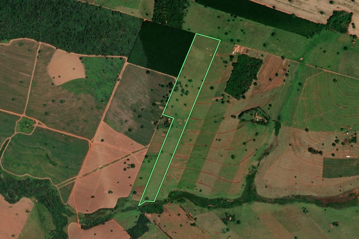Imagem de satélite do imóvel rural em Cardoso (SP), com o contorno declarado no CAR desenhado por cima.