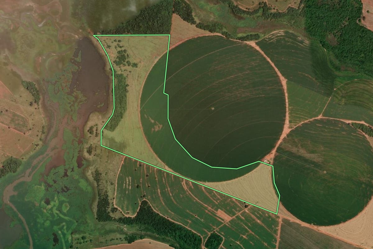 Imagem de satélite do imóvel rural em Cardoso (SP), com o contorno declarado no CAR desenhado por cima.