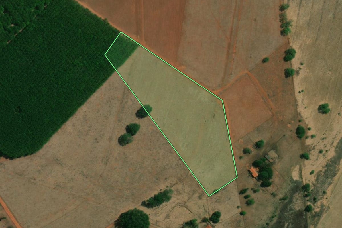 Imagem de satélite do imóvel rural em Cardoso (SP), com o contorno declarado no CAR desenhado por cima.