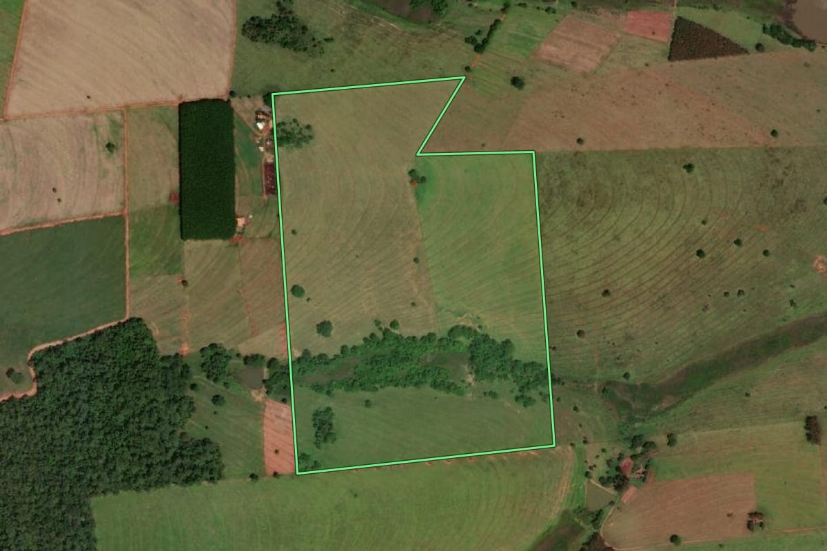 Imagem de satélite do imóvel rural em Cardoso (SP), com o contorno declarado no CAR desenhado por cima.