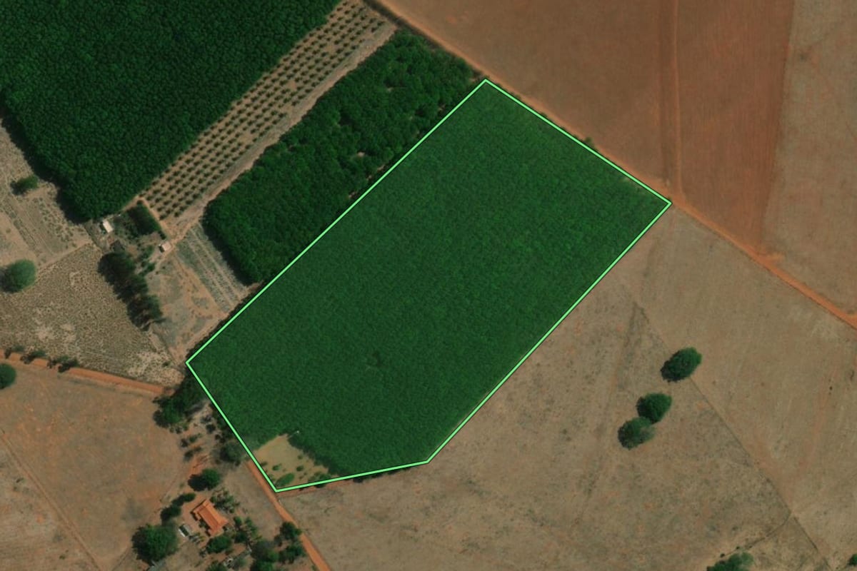 Imagem de satélite do imóvel rural em Cardoso (SP), com o contorno declarado no CAR desenhado por cima.