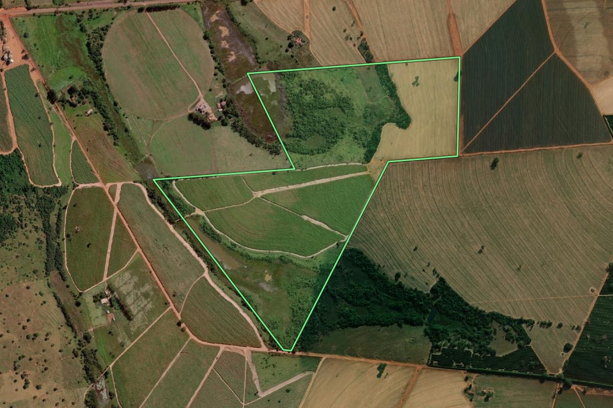 Imagem de satélite do imóvel rural em Cardoso (SP), com o contorno declarado no CAR desenhado por cima.