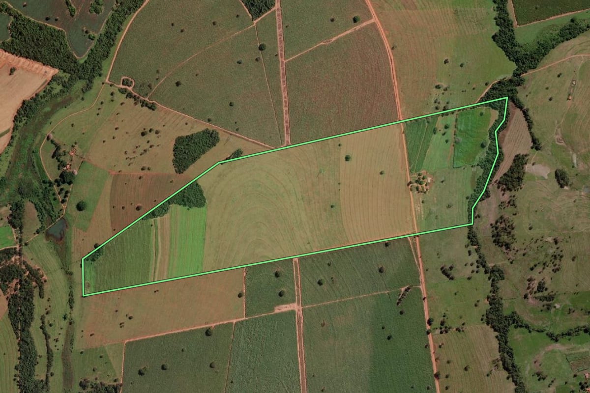 Imagem de satélite do imóvel rural em Cardoso (SP), com o contorno declarado no CAR desenhado por cima.