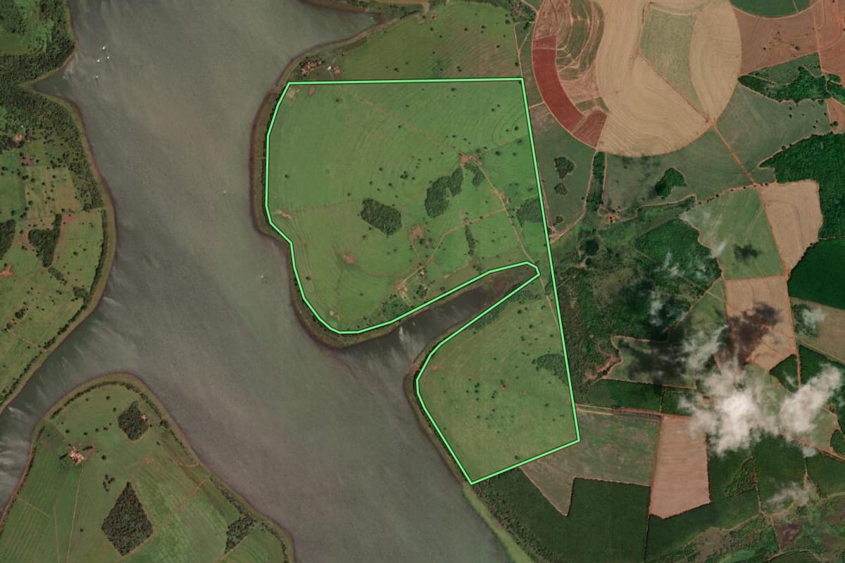 Imagem de satélite do imóvel rural em Cardoso (SP), com o contorno declarado no CAR desenhado por cima.