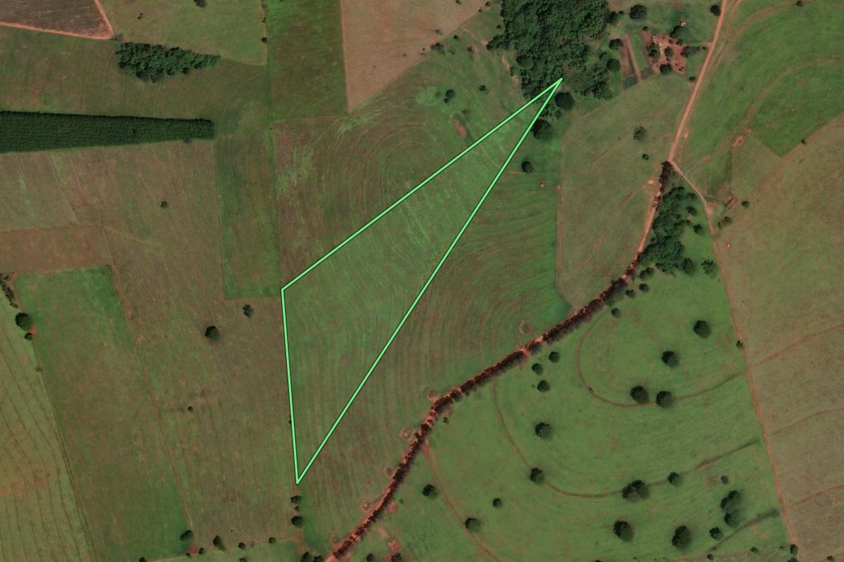 Imagem de satélite do imóvel rural em Cardoso (SP), com o contorno declarado no CAR desenhado por cima.