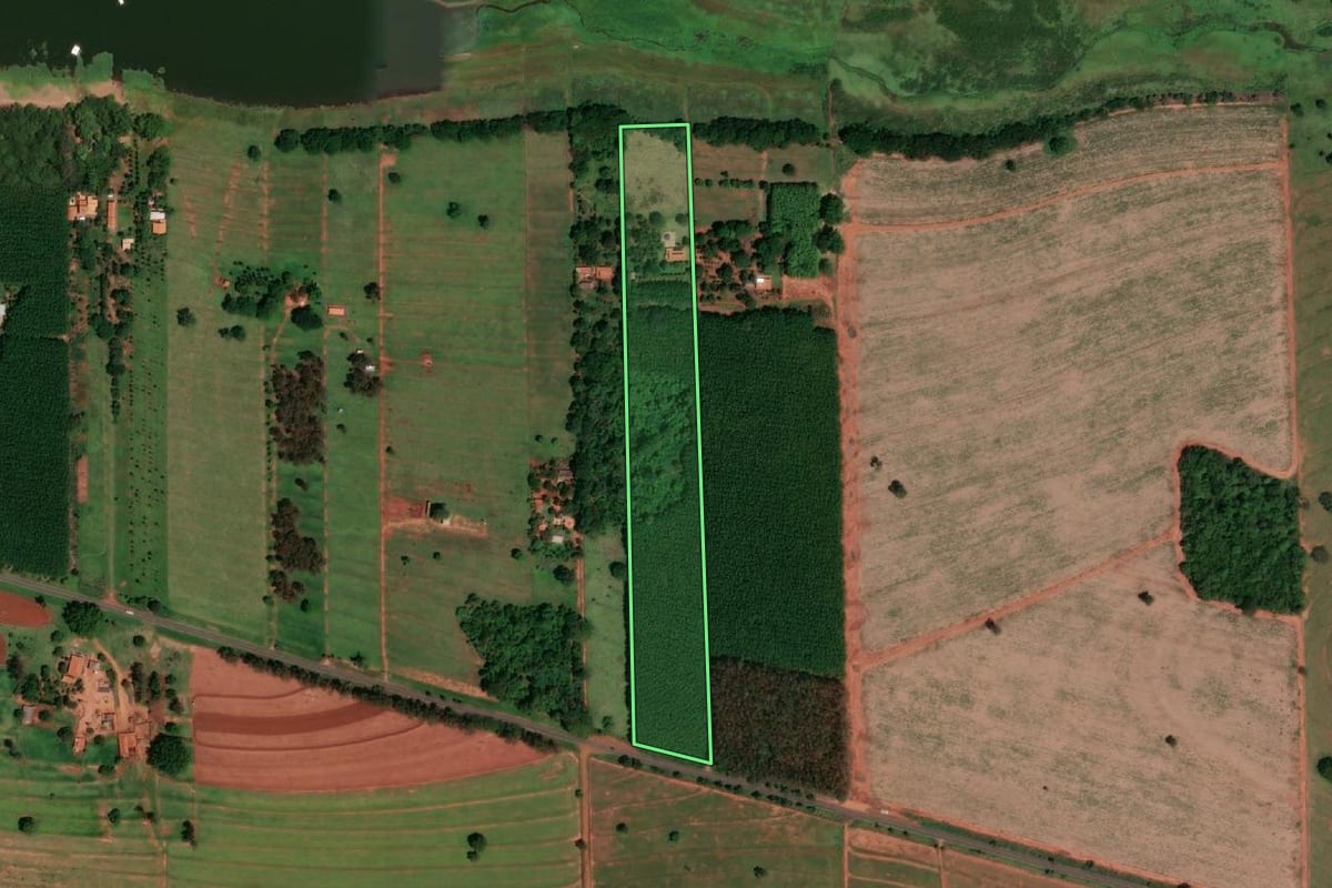 Imagem de satélite do imóvel rural em Cardoso (SP), com o contorno declarado no CAR desenhado por cima.