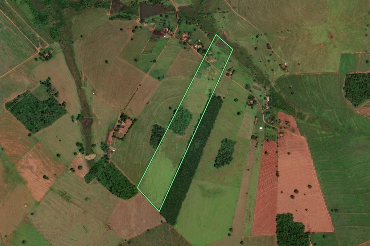 Imagem de satélite do imóvel rural em Cardoso (SP), com o contorno declarado no CAR desenhado por cima.