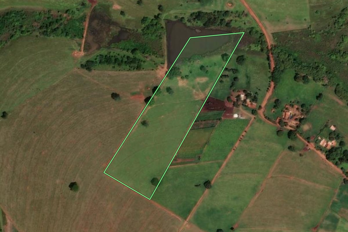 Imagem de satélite do imóvel rural em Cardoso (SP), com o contorno declarado no CAR desenhado por cima.