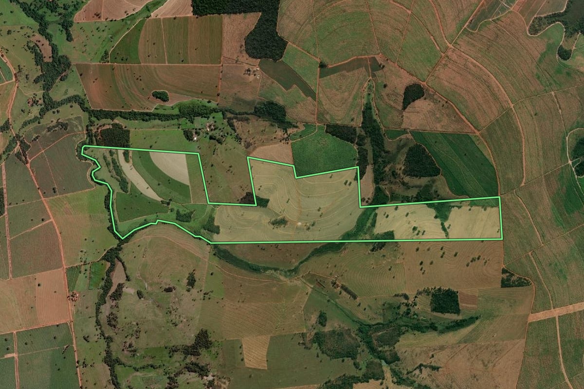 Imagem de satélite do imóvel rural em Cardoso (SP), com o contorno declarado no CAR desenhado por cima.