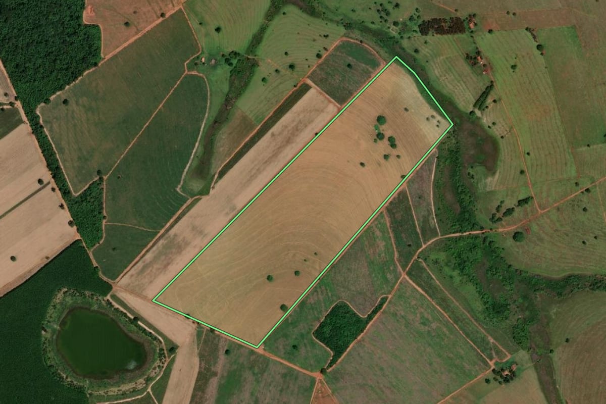 Imagem de satélite do imóvel rural em Cardoso (SP), com o contorno declarado no CAR desenhado por cima.