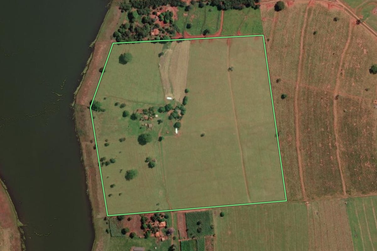 Imagem de satélite do imóvel rural em Cardoso (SP), com o contorno declarado no CAR desenhado por cima.