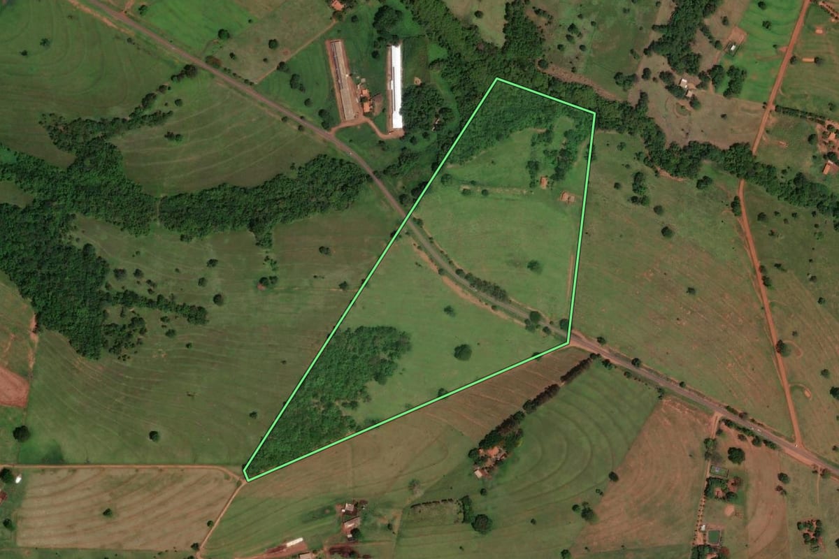 Imagem de satélite do imóvel rural em Cardoso (SP), com o contorno declarado no CAR desenhado por cima.