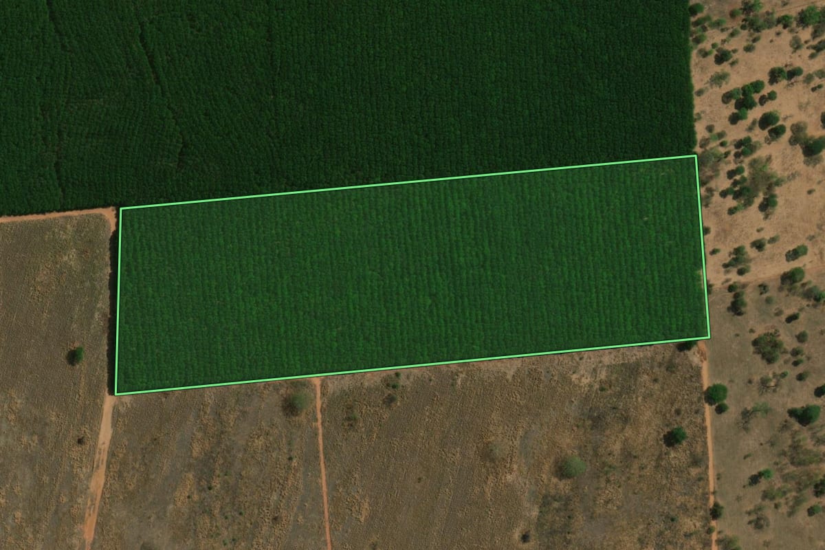 Imagem de satélite do imóvel rural em Cardoso (SP), com o contorno declarado no CAR desenhado por cima.