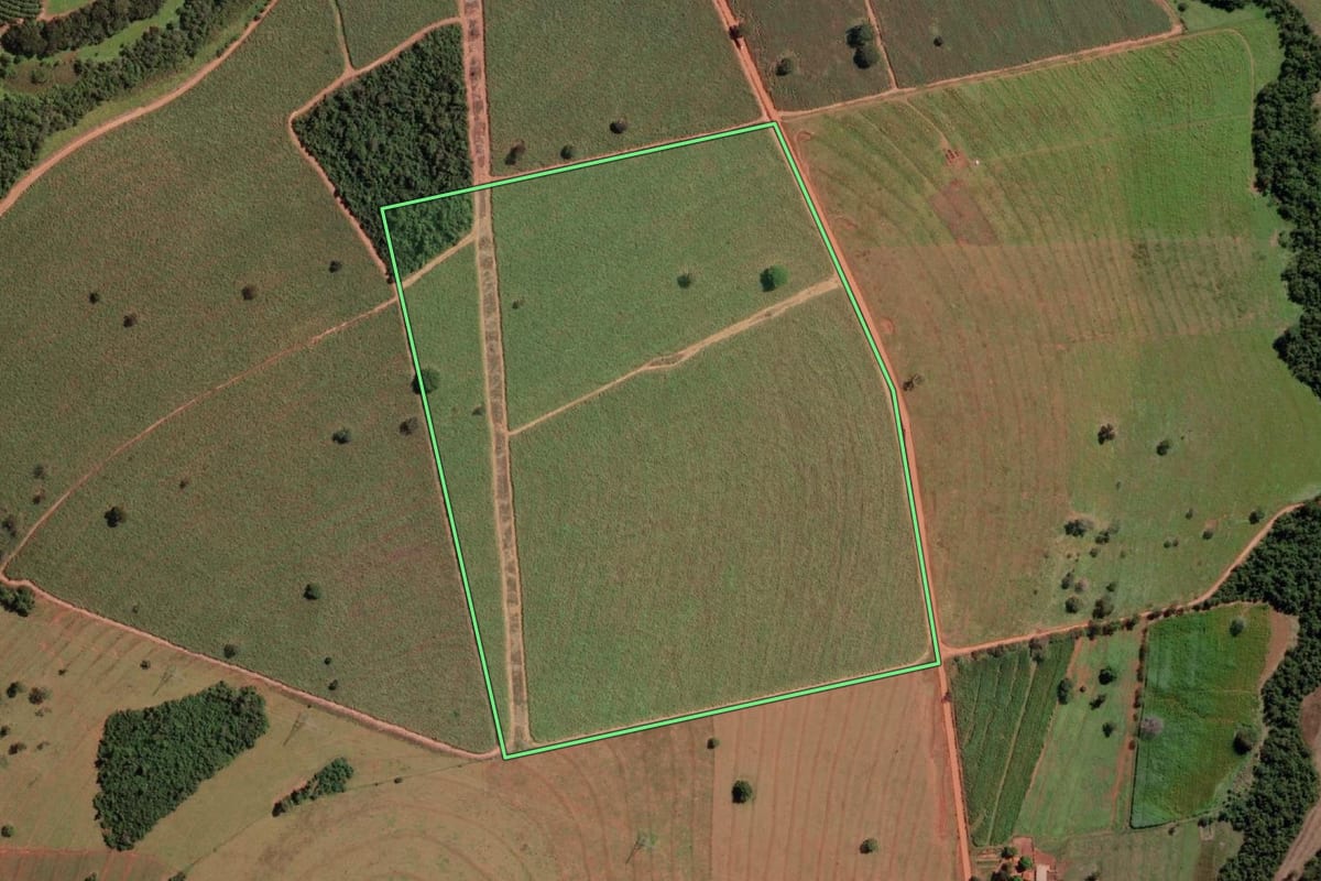 Imagem de satélite do imóvel rural em Cardoso (SP), com o contorno declarado no CAR desenhado por cima.