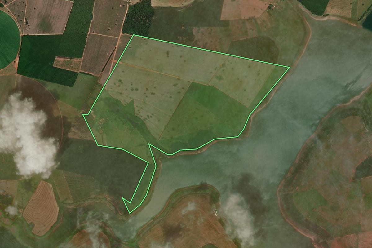 Imagem de satélite do imóvel rural em Cardoso (SP), com o contorno declarado no CAR desenhado por cima.