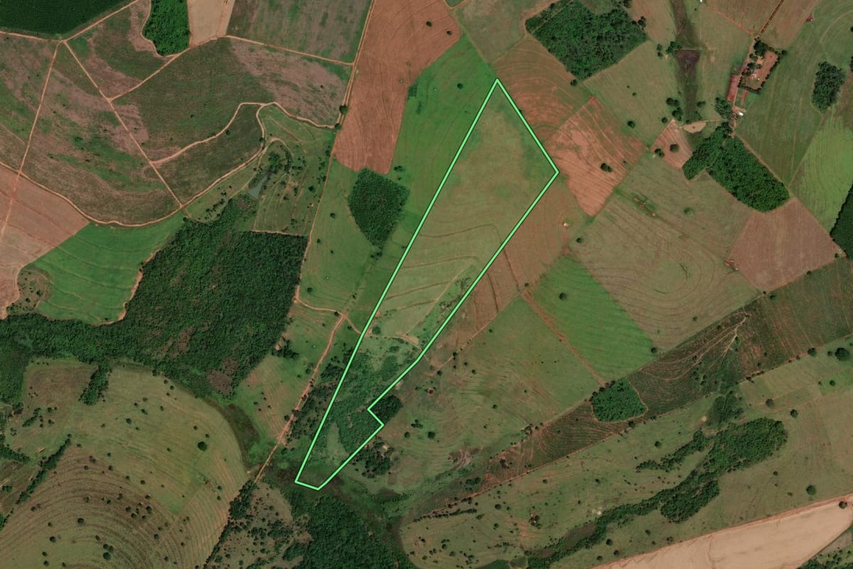 Imagem de satélite do imóvel rural em Cardoso (SP), com o contorno declarado no CAR desenhado por cima.