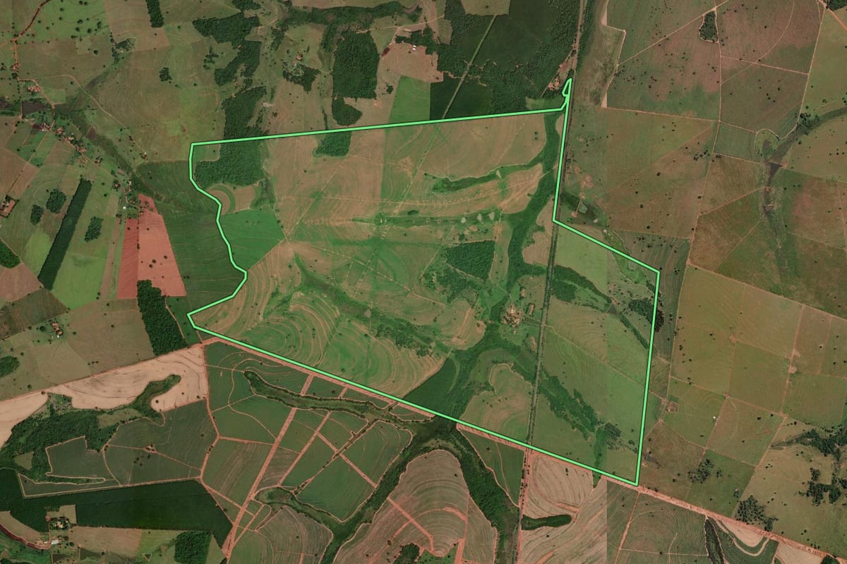 Imagem de satélite do imóvel rural em Cardoso (SP), com o contorno declarado no CAR desenhado por cima.