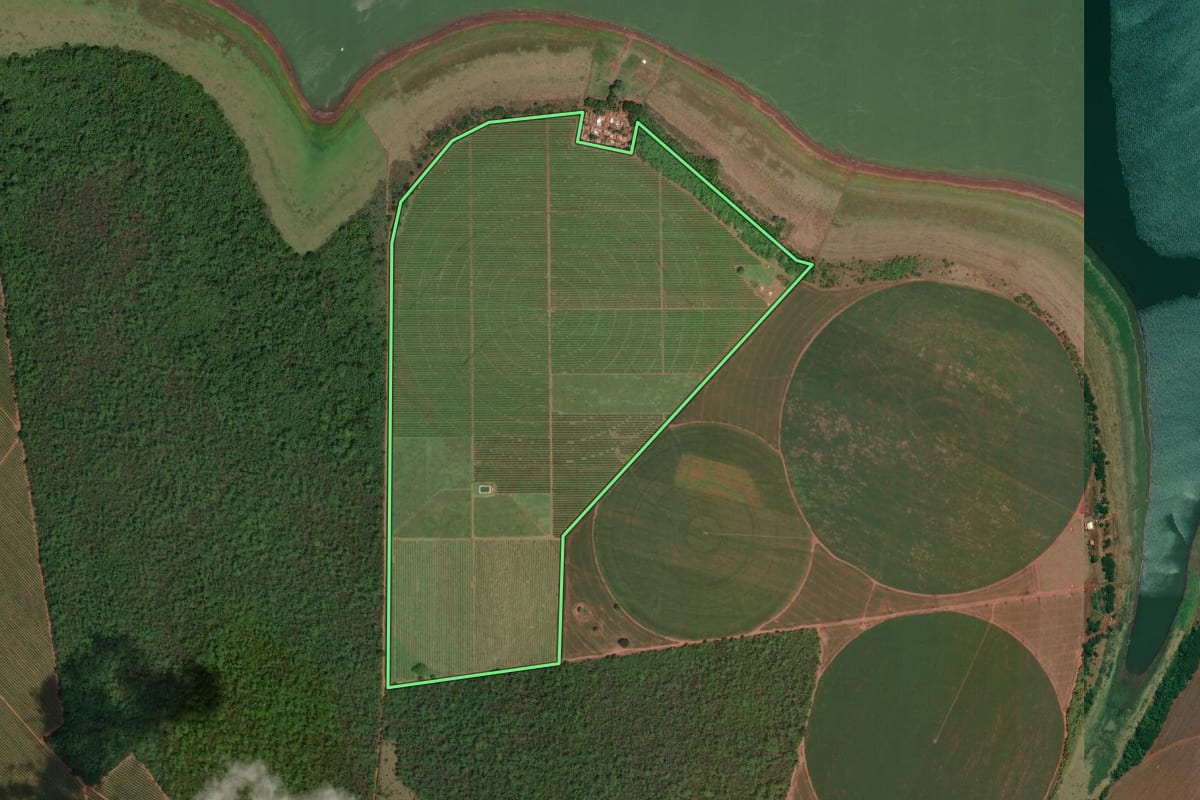 Imagem de satélite do imóvel rural em Cardoso (SP), com o contorno declarado no CAR desenhado por cima.