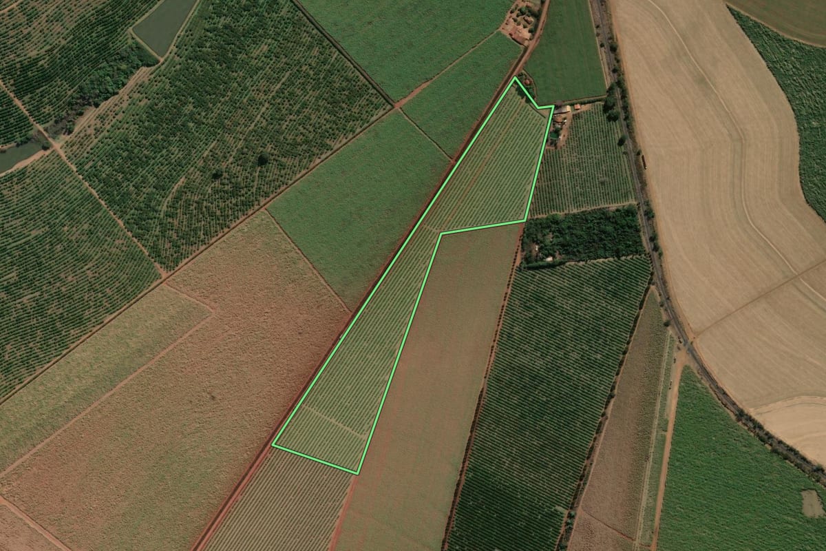 Imagem de satélite do imóvel rural em Casa Branca (SP), com o contorno declarado no CAR desenhado por cima.