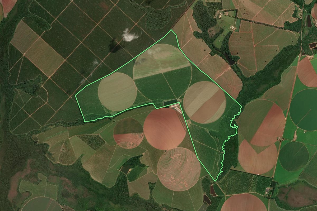 Imagem de satélite do imóvel rural em Casa Branca (SP), com o contorno declarado no CAR desenhado por cima.